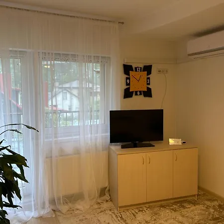 Butas Prie Nemuno 3*